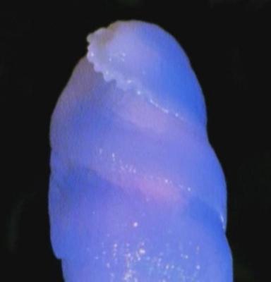 Прикрепленное изображение: 3.jpg